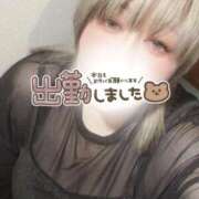 ヒメ日記 2026/02/26 22:15 投稿 あず 浜松駅前ちゃんこ