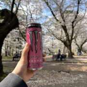 ヒメ日記 2025/04/07 23:46 投稿 大宮校みみ クンニ専門店 おクンニ学園 池袋校