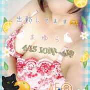 ヒメ日記 2025/04/15 10:35 投稿 まゆら 熟女の風俗最終章 新宿店