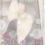 ヒメ日記 2025/05/22 15:27 投稿 まゆら 熟女の風俗最終章 新宿店