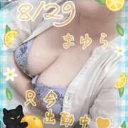 ヒメ日記 2025/08/29 14:33 投稿 まゆら 熟女の風俗最終章 新宿店