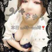 ヒメ日記 2025/09/04 09:26 投稿 まゆら 熟女の風俗最終章 新宿店