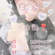 ヒメ日記 2026/03/17 12:22 投稿 まゆら 熟女の風俗最終章 新宿店