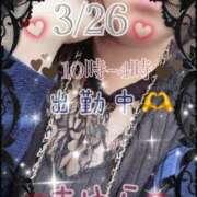 ヒメ日記 2025/03/26 10:26 投稿 まゆら 熟女の風俗最終章 池袋店