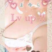 ヒメ日記 2025/04/19 16:42 投稿 まゆら 熟女の風俗最終章 池袋店