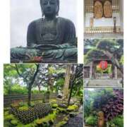 ヒメ日記 2025/05/11 08:51 投稿 りと 即アポ奥さん～浜松店～