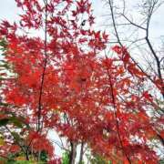 ヒメ日記 2025/11/14 00:34 投稿 りと 即アポ奥さん～浜松店～