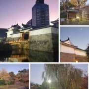 ヒメ日記 2025/11/28 22:44 投稿 りと 即アポ奥さん～浜松店～