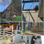 ヒメ日記 2026/04/03 23:48 投稿 りと 即アポ奥さん～浜松店～