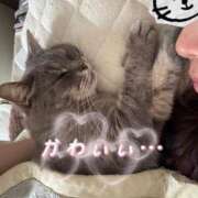 ヒメ日記 2025/05/28 09:17 投稿 あや マリン宮殿水戸店