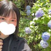 ヒメ日記 2024/12/14 21:52 投稿 ことは SKY(スカイ)