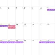 ヒメ日記 2024/12/28 11:55 投稿 ことは SKY(スカイ)