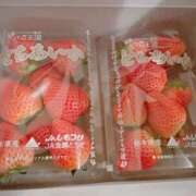 ヒメ日記 2025/02/19 20:30 投稿 ことは SKY(スカイ)