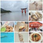 ヒメ日記 2025/04/18 09:25 投稿 ことは SKY(スカイ)