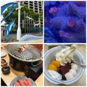 ヒメ日記 2025/04/30 20:11 投稿 ことは SKY(スカイ)