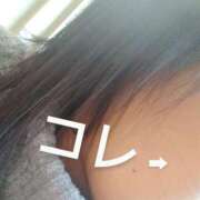 ヒメ日記 2024/12/17 08:45 投稿 みすず 横浜おかあさん