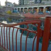 ヒメ日記 2024/12/18 08:35 投稿 みすず 横浜おかあさん