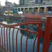 ヒメ日記 2024/12/19 08:35 投稿 みすず 横浜おかあさん