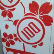 ヒメ日記 2024/12/25 11:55 投稿 みすず 横浜おかあさん