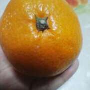 ヒメ日記 2025/01/02 11:05 投稿 みすず 横浜おかあさん