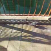 ヒメ日記 2025/01/13 09:05 投稿 みすず 横浜おかあさん