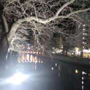 ヒメ日記 2025/02/06 07:55 投稿 みすず 横浜おかあさん