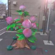 ヒメ日記 2025/02/07 15:55 投稿 みすず 横浜おかあさん