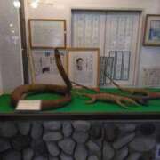 ヒメ日記 2025/02/12 00:35 投稿 みすず 横浜おかあさん