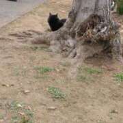 ヒメ日記 2025/02/13 09:18 投稿 みすず 横浜おかあさん