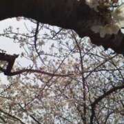 ヒメ日記 2025/03/06 13:55 投稿 みすず 横浜おかあさん