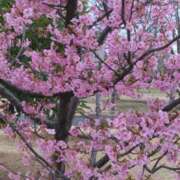 ヒメ日記 2025/03/07 22:27 投稿 みすず 横浜おかあさん