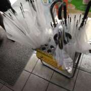 ヒメ日記 2025/03/12 18:35 投稿 みすず 横浜おかあさん