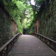 ヒメ日記 2025/03/21 19:25 投稿 みすず 横浜おかあさん