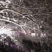 ヒメ日記 2025/03/29 09:15 投稿 みすず 横浜おかあさん