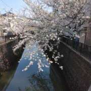 ヒメ日記 2025/04/03 00:15 投稿 みすず 横浜おかあさん