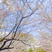 ヒメ日記 2025/04/07 09:05 投稿 みすず 横浜おかあさん