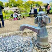 ヒメ日記 2025/04/21 10:45 投稿 みすず 横浜おかあさん