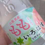 ヒメ日記 2025/04/22 14:55 投稿 みすず 横浜おかあさん