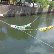 ヒメ日記 2025/05/05 13:45 投稿 みすず 横浜おかあさん