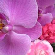 ヒメ日記 2025/05/14 23:55 投稿 みすず 横浜おかあさん