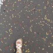 ヒメ日記 2025/07/09 14:35 投稿 みすず 横浜おかあさん