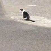 ヒメ日記 2025/08/27 12:05 投稿 みすず 横浜おかあさん