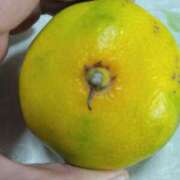 ヒメ日記 2025/10/14 14:49 投稿 みすず 横浜おかあさん