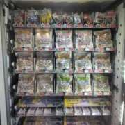 ヒメ日記 2025/10/19 21:55 投稿 みすず 横浜おかあさん