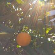 ヒメ日記 2025/11/14 09:49 投稿 みすず 横浜おかあさん