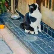 ヒメ日記 2025/11/26 14:15 投稿 みすず 横浜おかあさん