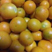 ヒメ日記 2025/12/22 12:25 投稿 みすず 横浜おかあさん