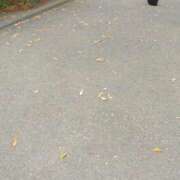 ヒメ日記 2026/01/09 15:55 投稿 みすず 横浜おかあさん