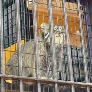 ヒメ日記 2026/03/20 10:48 投稿 みすず 横浜おかあさん