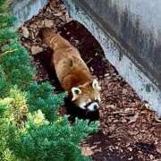 ヒメ日記 2026/03/23 21:35 投稿 みすず 横浜おかあさん